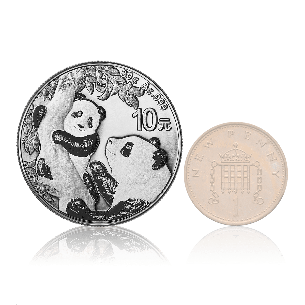 30g Silver Investment Chinese Panda (2021) 5